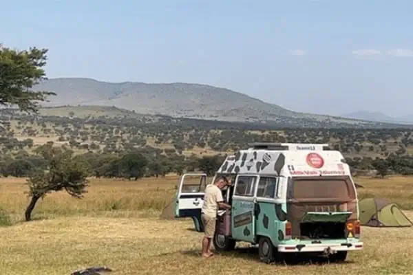 serengeti