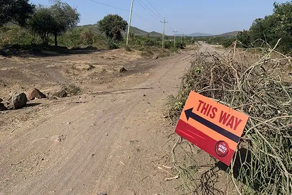 this way
