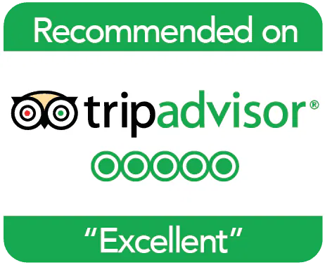 Trip Advisor