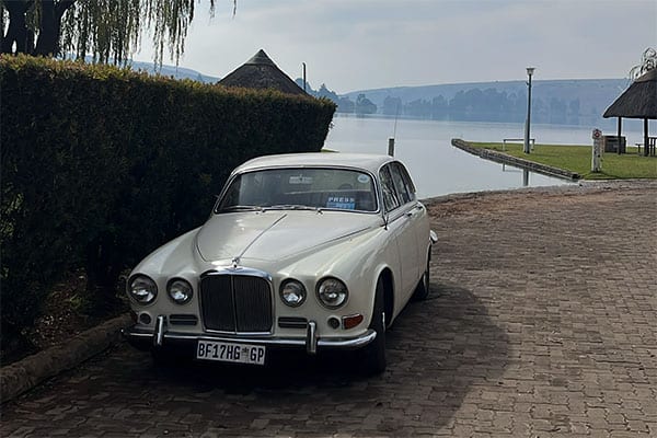 Jaguar Picture 6
