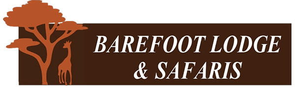 Barefoot logo