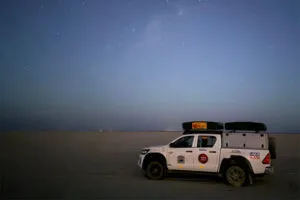 bushlore stars 2 2024