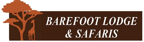 Barefoot logo Barefoot logo